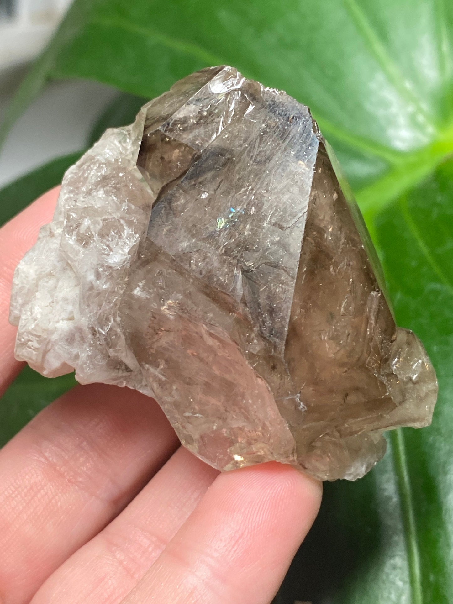 Beautiful Inclusions Rainbows Garden Skeletal Quartz Amethyst Epidote Pyrite Crystal Raw Mineral  ~ Collectors Display Specimen