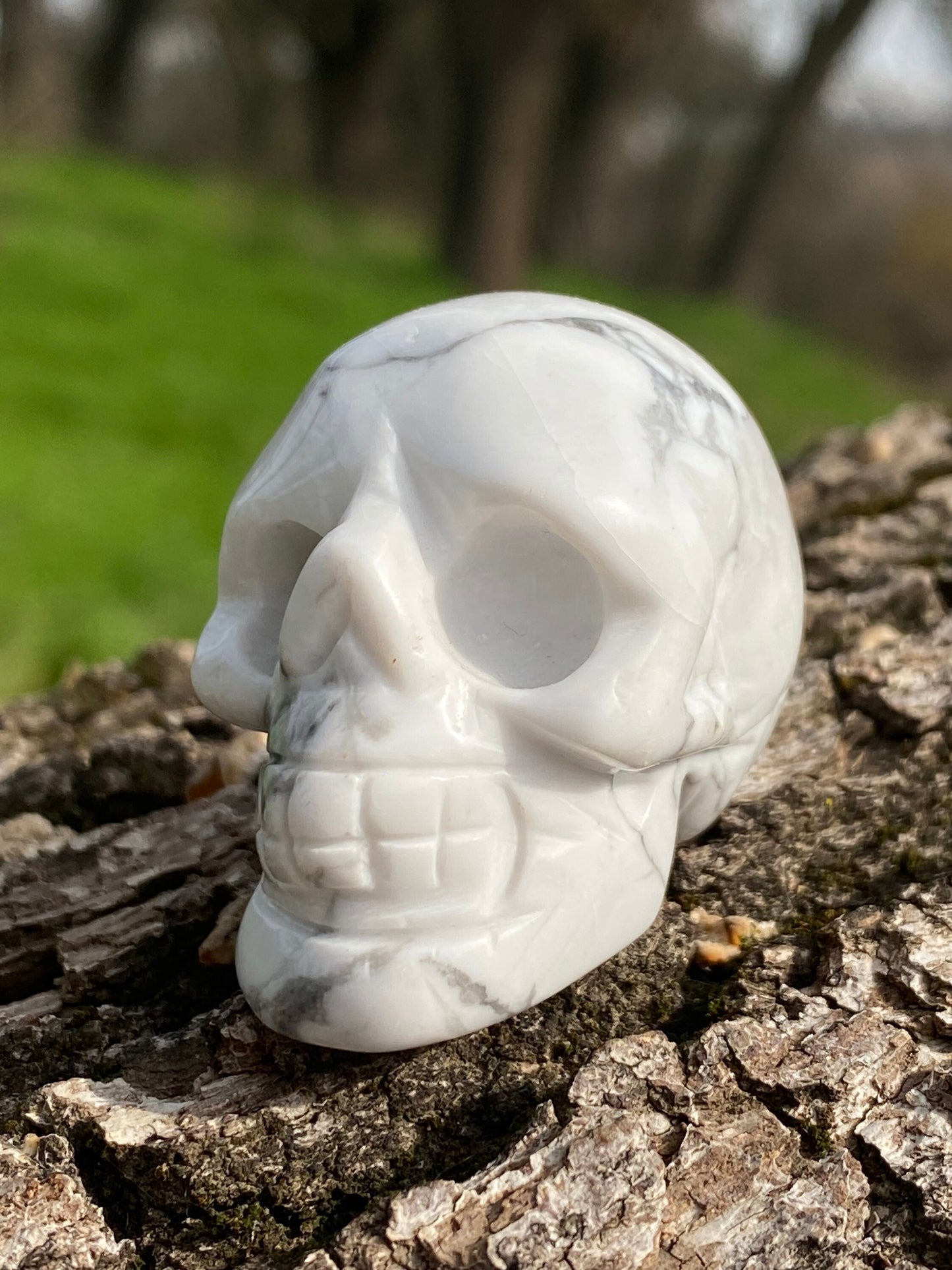 White Howlite Skull Polished Natural Carved Natural Stone Crystal ~ Human Skull Art Carving