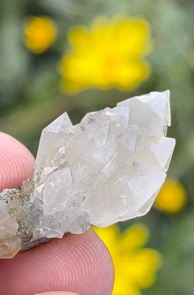 RARE* Himalayan Quartz Cluster Microcrystalline Structure ~ Raw Mineral Crystal Specimen ~ Collectors Thumbnail Minerals ~ Style5