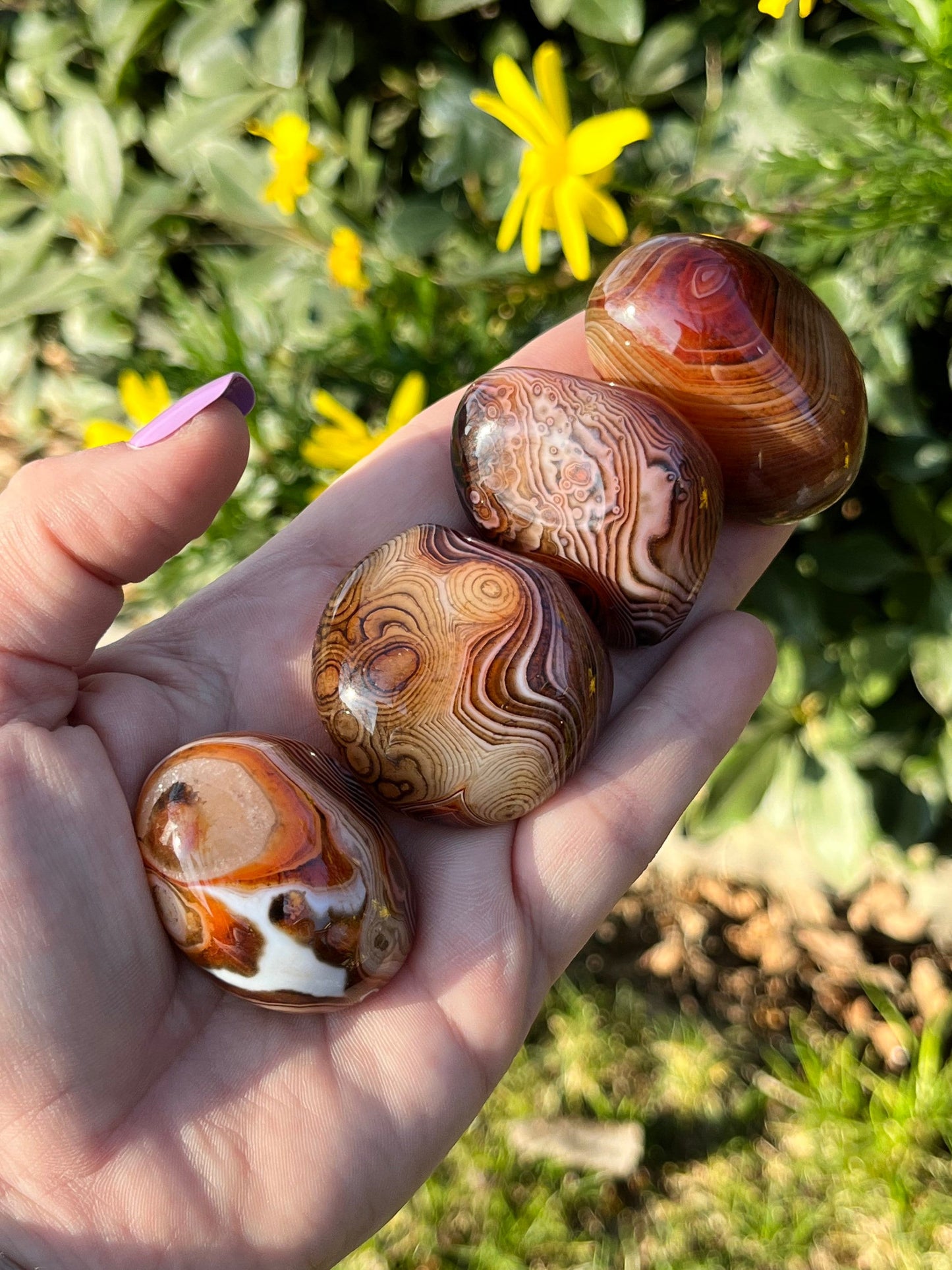 Beautiful Large Red Sardonyx Palm Stone Banded Agate Tumbles ~ Pocket Stones Minerals Crystals ~ Protection ~ Strength ~ Happiness
