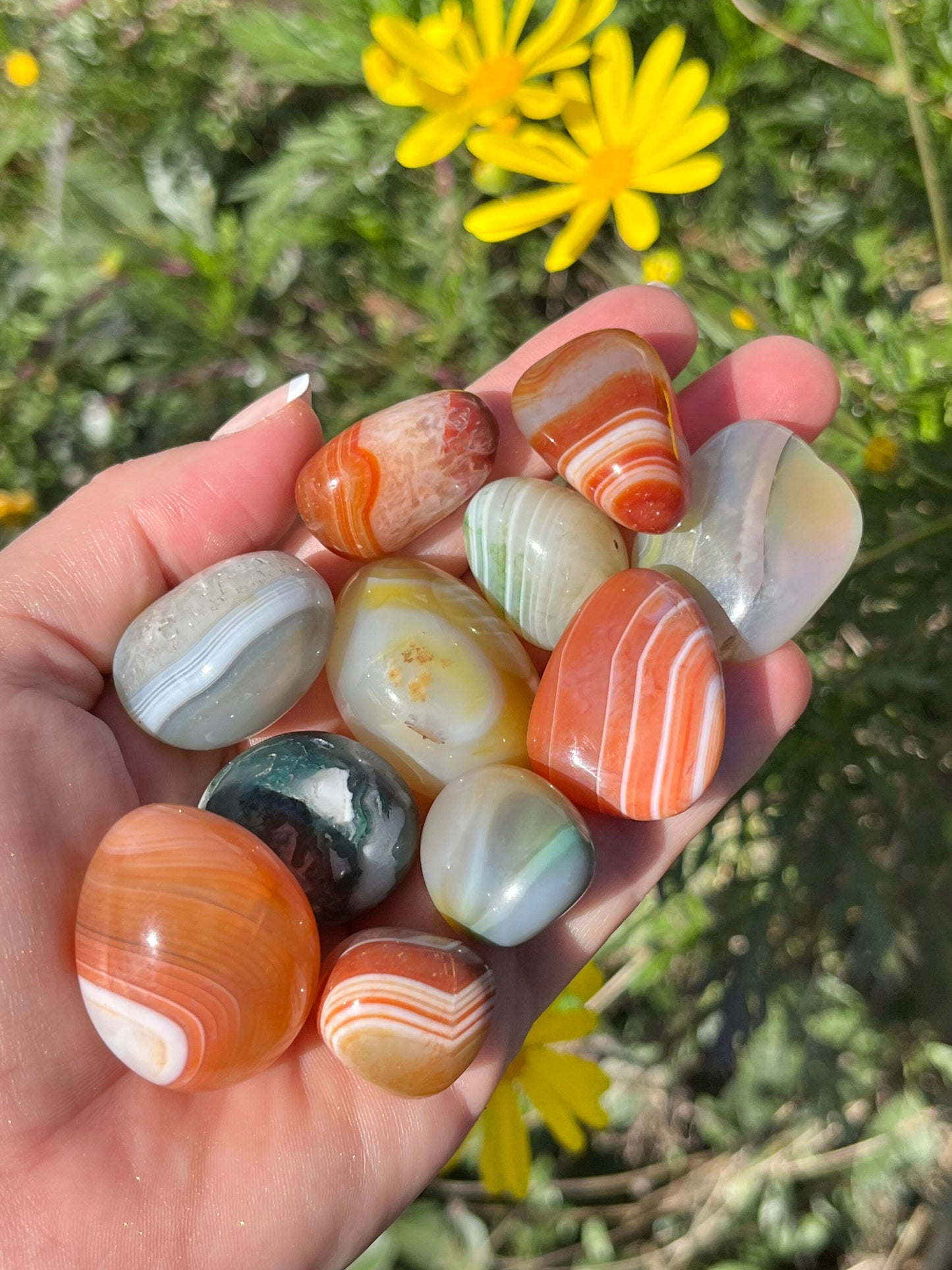 Colorful Agate Carnelian Tumbles Palm Stone ~ Pocket Stones Minerals Crystals ~