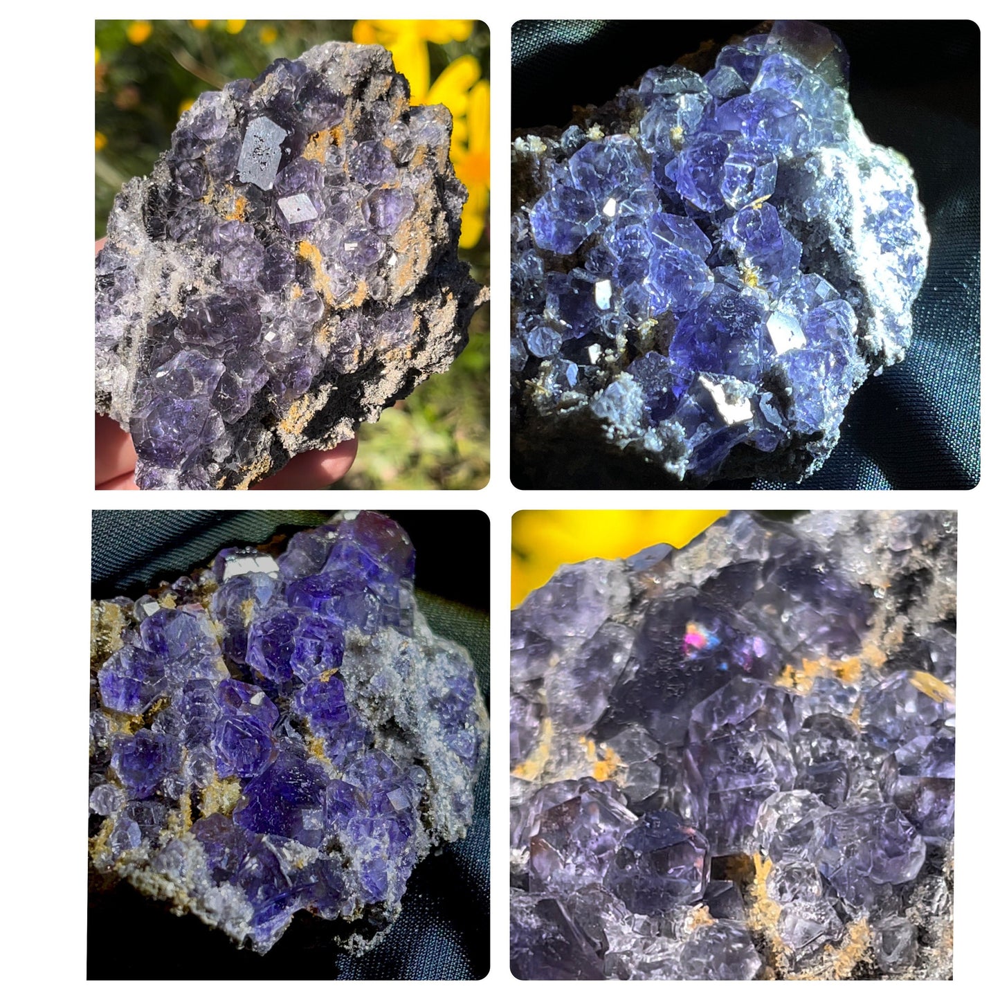 RARE Specimen ~ Deep Purple Blue Tanzanite Fluorite Crystal Cluster ~ Natural Crystal ~ Raw Mineral Collectors ~ Fujin China TZ3