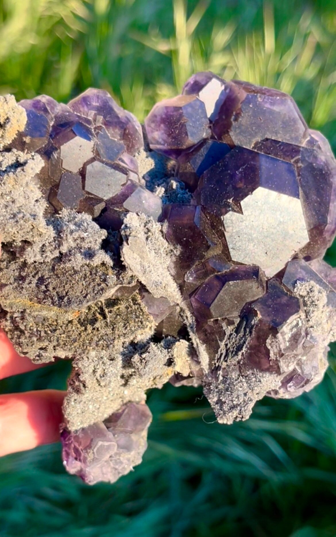 BIG !! RARE Specimen ~ Deep Purple Blue Tanzanite Fluorite Crystal Cluster ~ Natural Crystal ~ Raw Mineral Collectors ~ Fujin China
