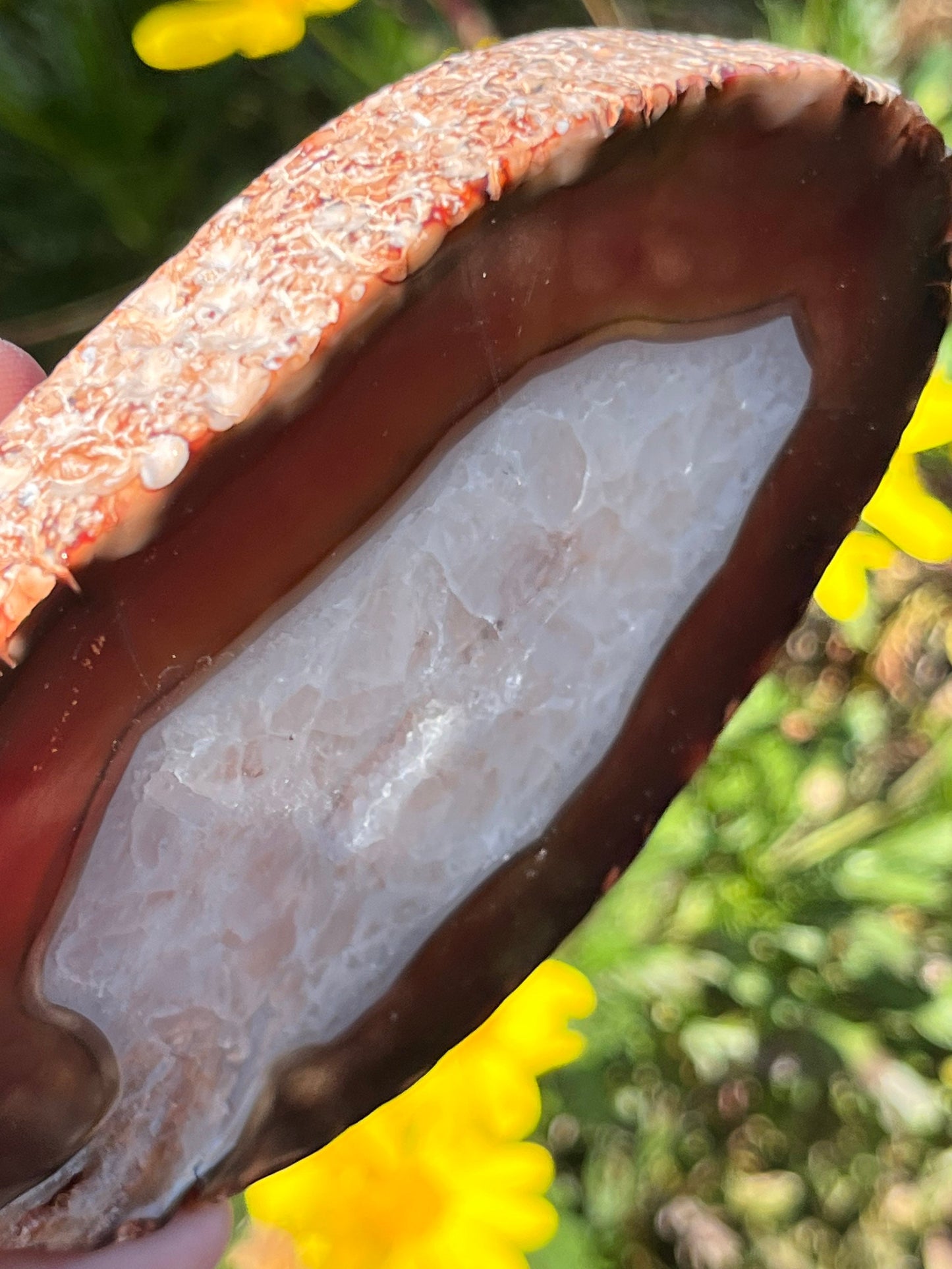 Druzy Carnelian Agate Stone Carved Crystal Slab Natural Polished Minerals Crystals ~Type 3