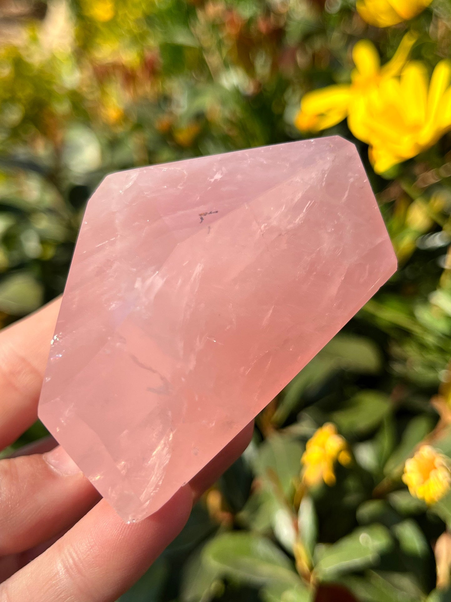 Gem Grade Rose Quartz Free Form Natural Raw Polished Minerals Crystals ~ Crystal Stone Carved Decor Display Crystal