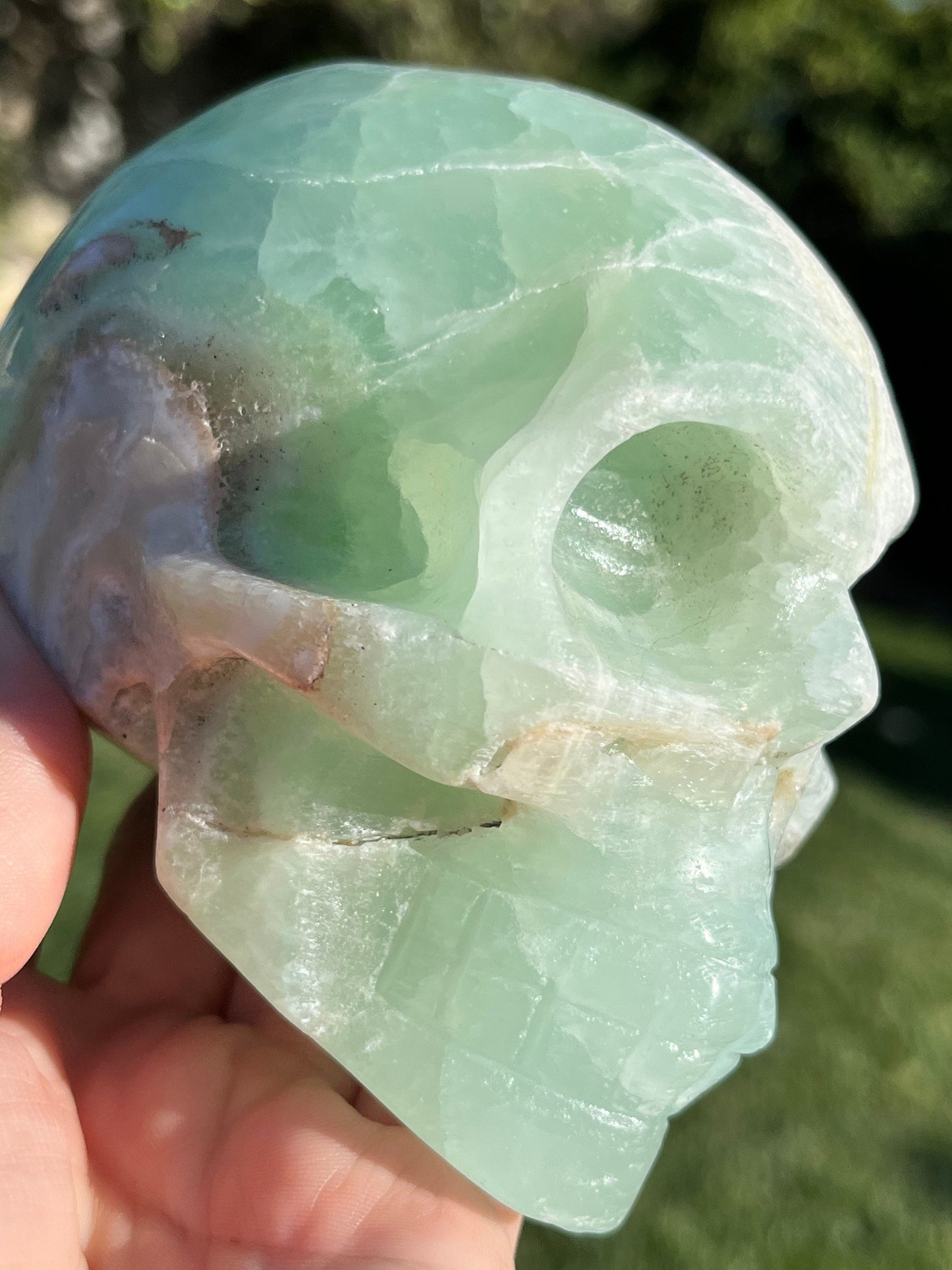 XL Large Pistachio Caribbean Calcite Skull Polished Natural Carved Stone Crystal ~ Human Skull Art Carving