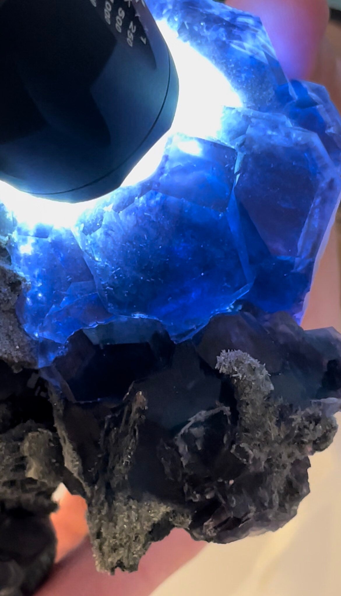BIG !! RARE Specimen ~ Deep Purple Blue Tanzanite Fluorite Crystal Cluster ~ Natural Crystal ~ Raw Mineral Collectors ~ Fujin China