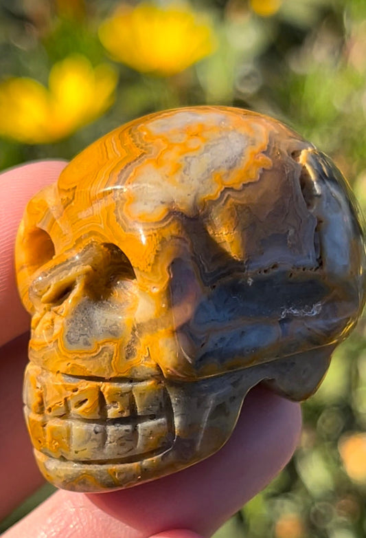 Lace agate Skull Yellow Natural Carved Crystal Skull Natural Stone ~ Human Skull Art Carving