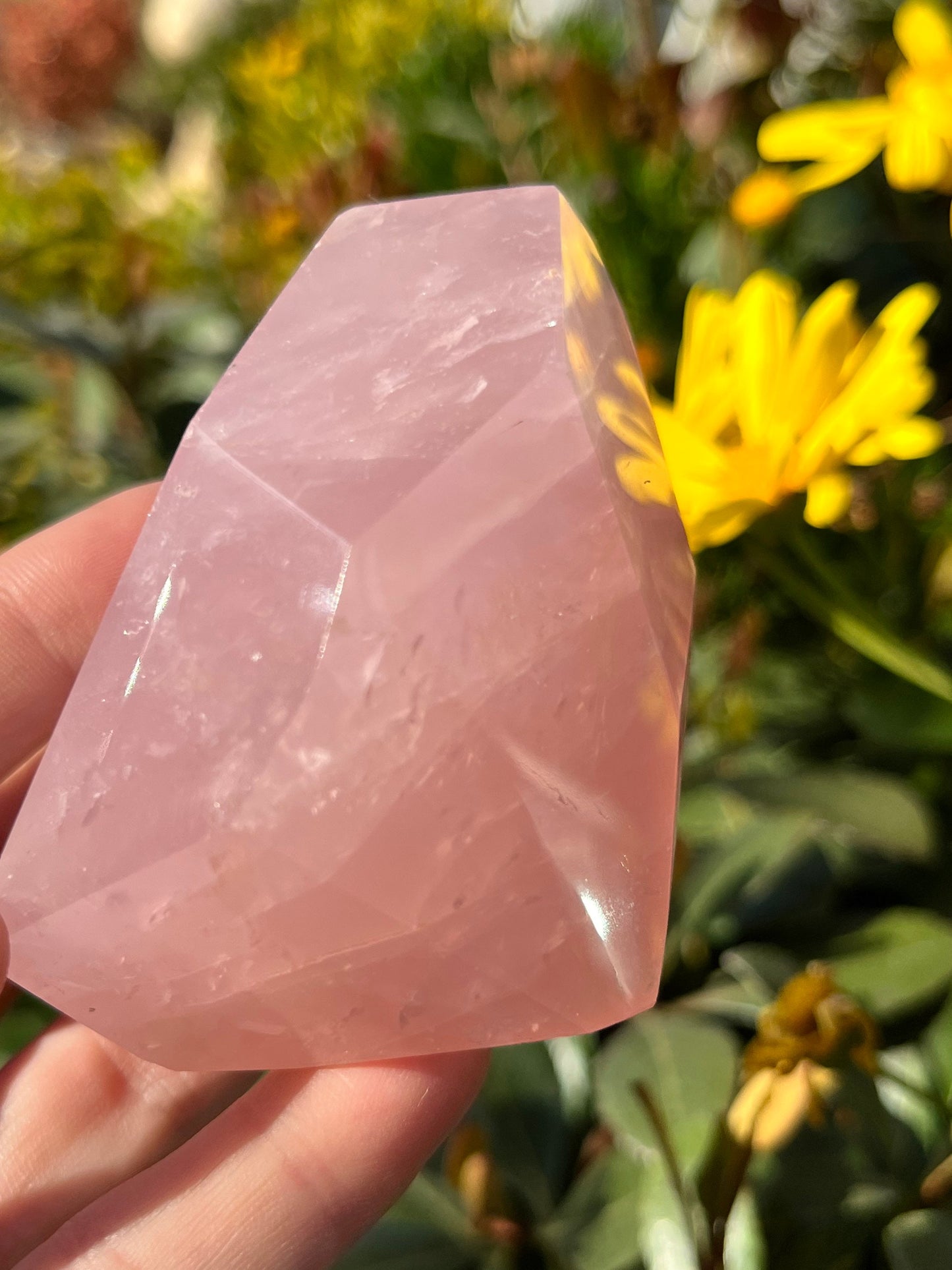 Gem Grade Rose Quartz Free Form Natural Raw Polished Minerals Crystals ~ Crystal Stone Carved Decor Display Crystal