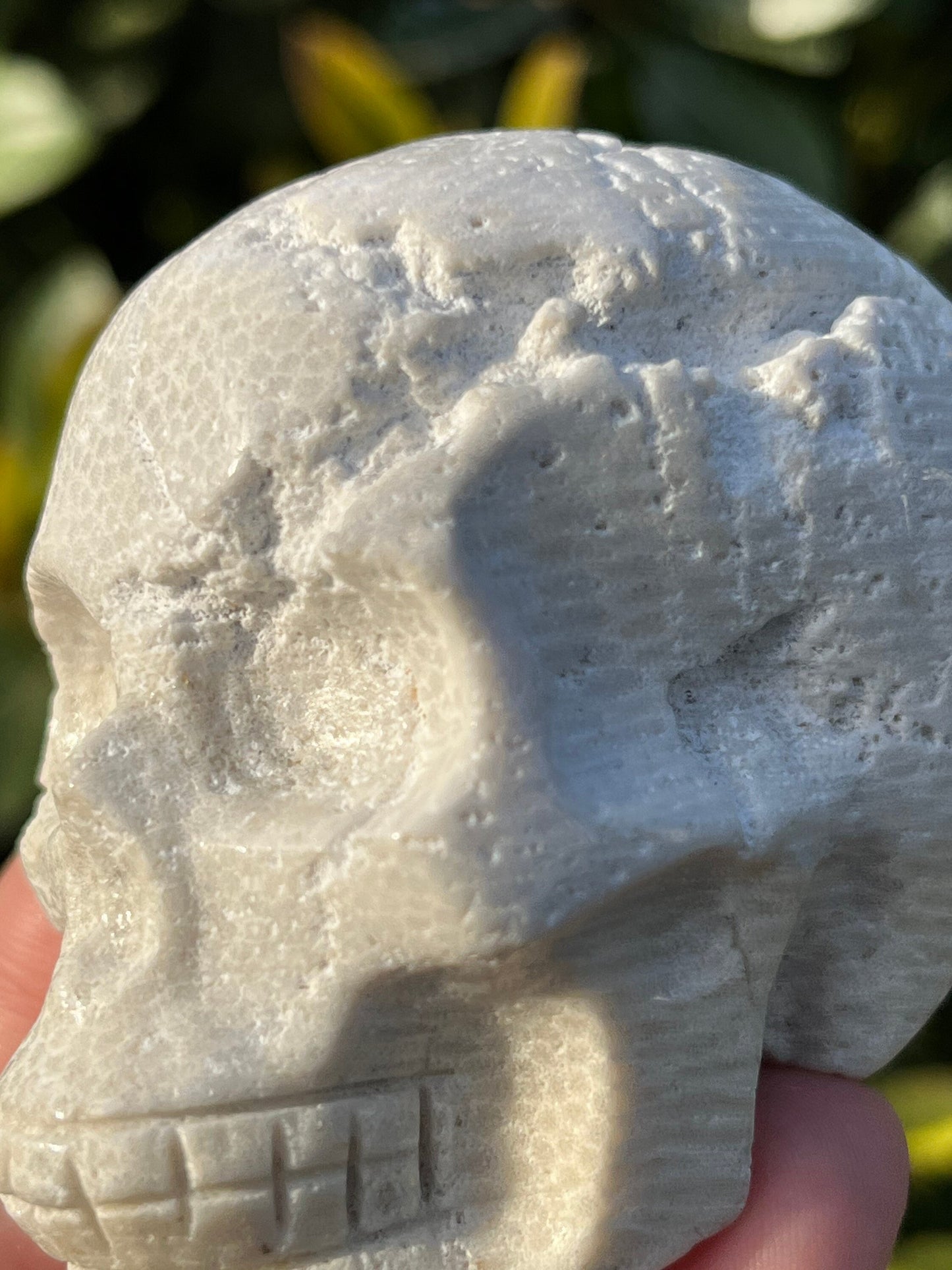 Coral Jasper Carved Crystal Skull White Agate Agatized Fossil Coral  ~ Natural Stone Crystal ~ Human Skull Art Carving