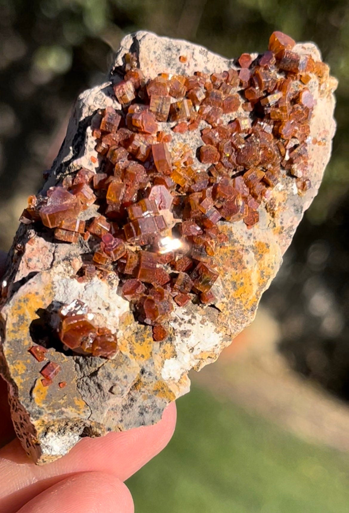 Large High Quality Sparkle Vanadinite Natural Stone Crystal  ~ Morocco ~ VD21
