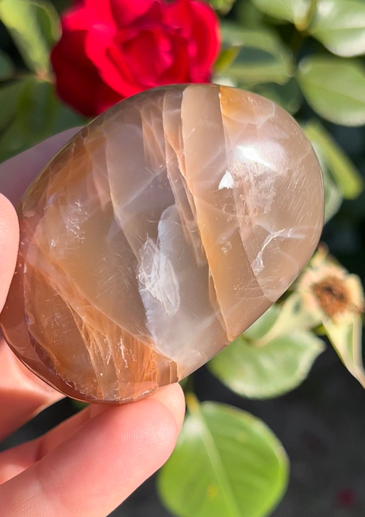 Flashy Pink Peach Moonstone Palm Stone ~ Polished Crystal | Crystal Palm Stone