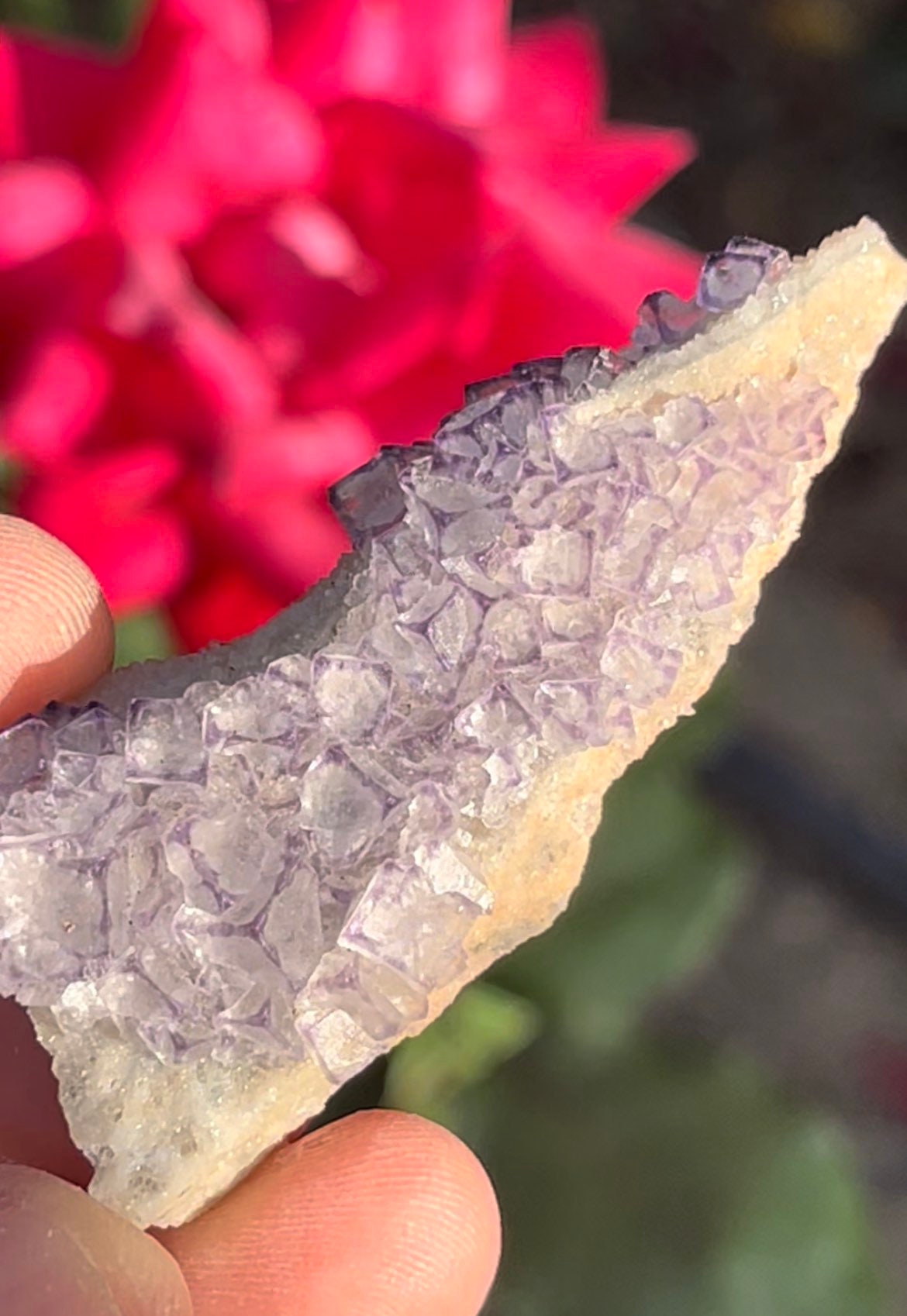 Purple Fluorite Pattern Dice Fluorite Raw Crystal Cluster Specimen ~ Natural Stone Crystal ~ Rare Crystal Minerals ~ Guizhou China PF1