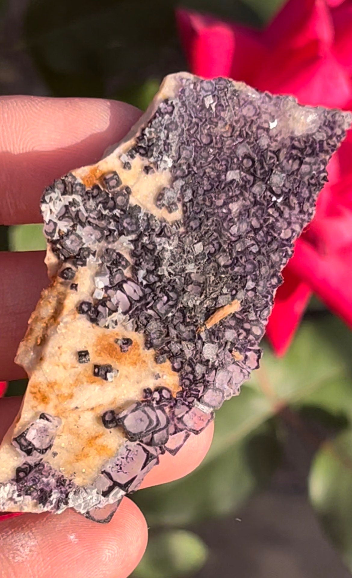 Purple Fluorite Pattern Dice Fluorite Raw Crystal Cluster Specimen ~ Natural Stone Crystal ~ Rare Crystal Minerals ~ Guizhou China PF1