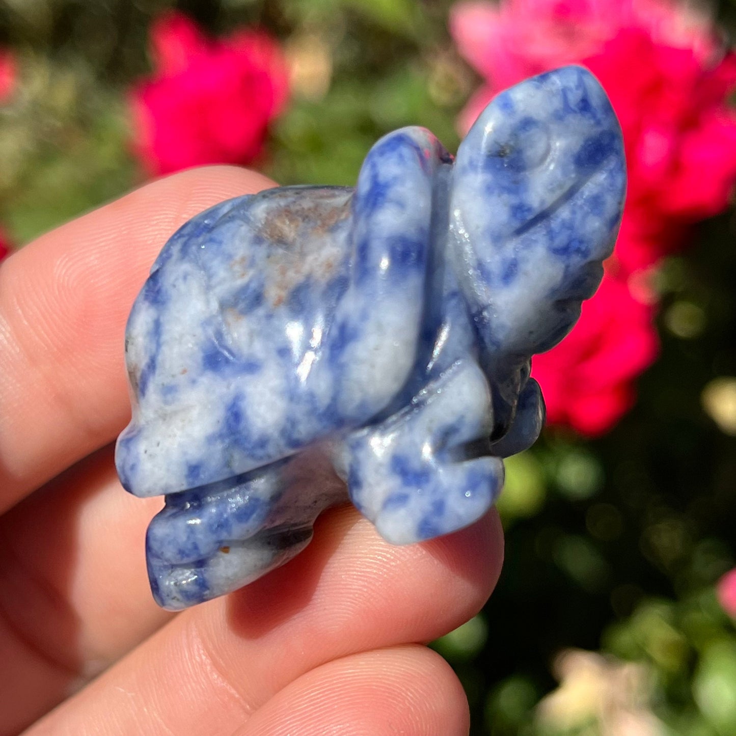Genuine Stone Crystal Turtle Carving Natural Polished Carved Minerals Crystals ~ Stone Carved