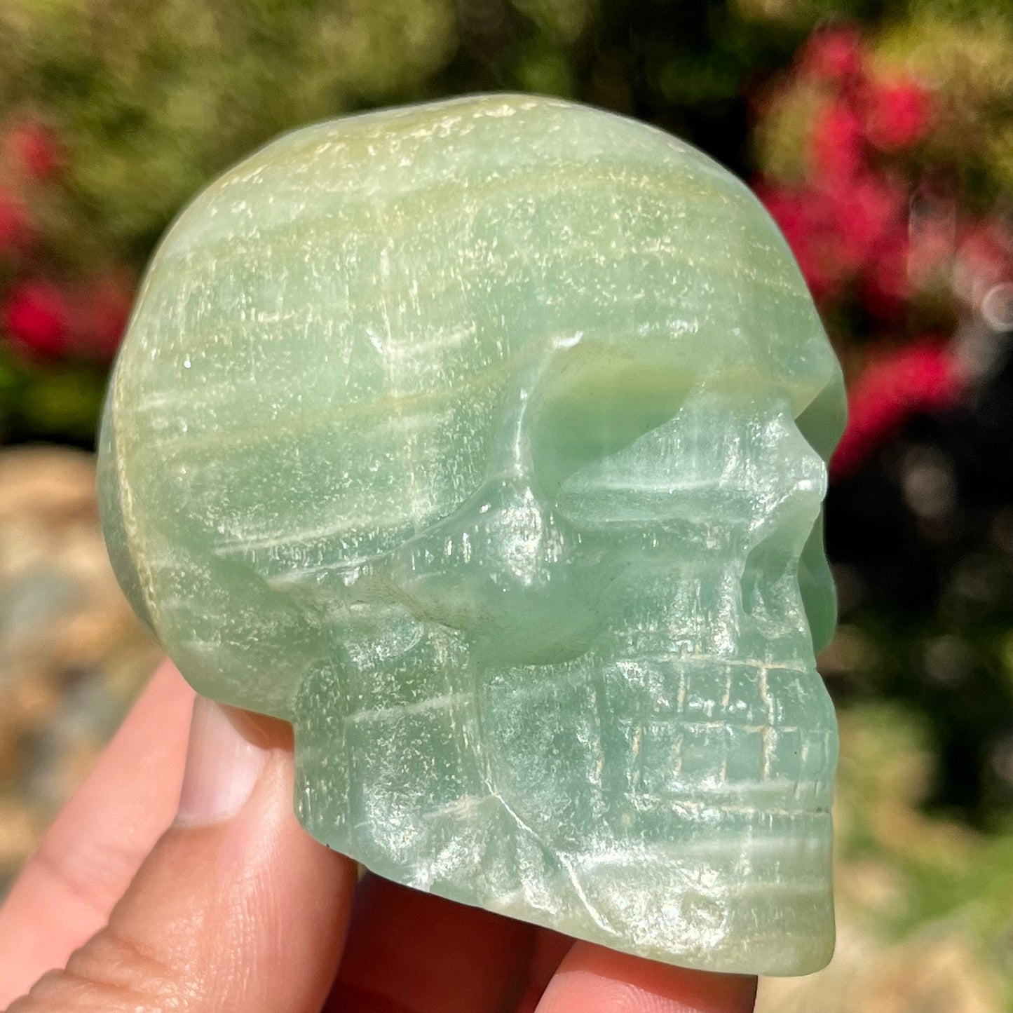 Pistachio Caribbean Calcite Skull Polished Natural Carved Stone Crystal ~ Human Skull Art Carving