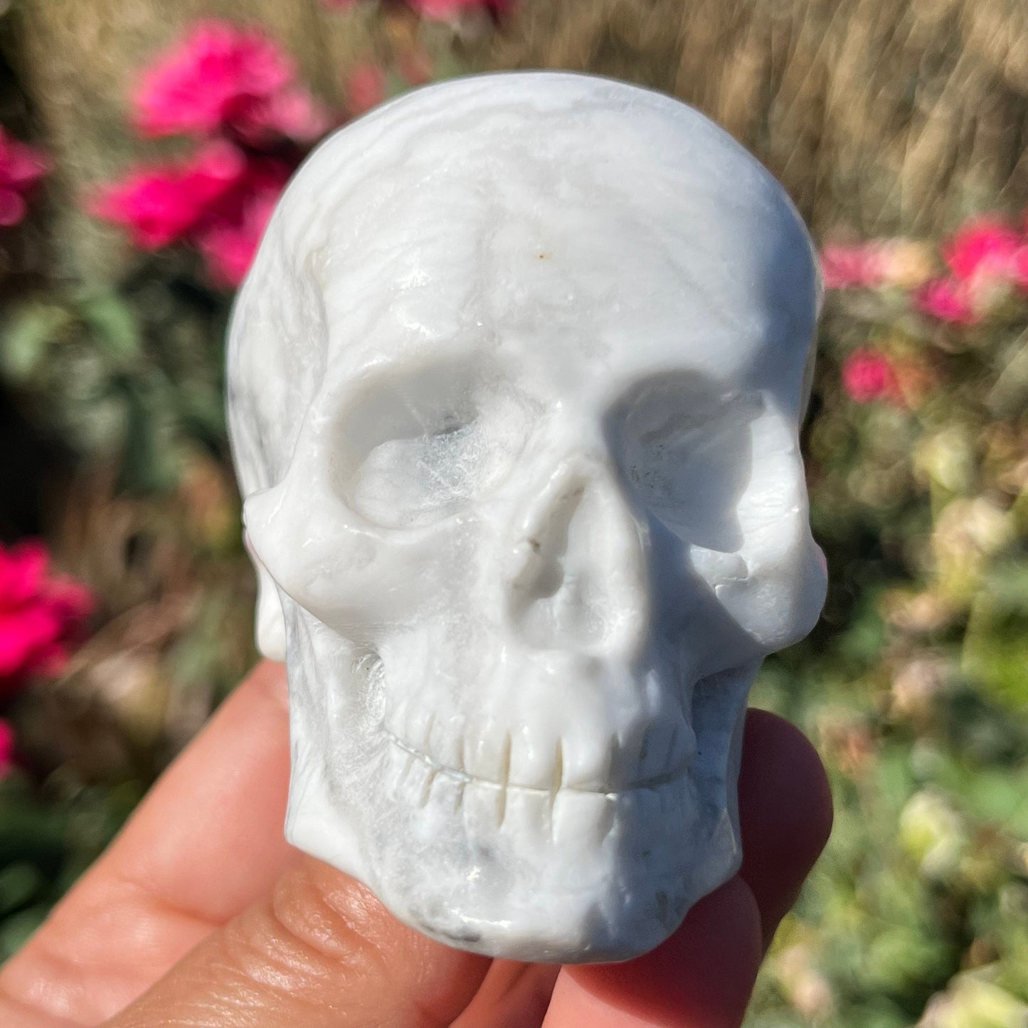 Howlite Skull Genuine White Crystal Skull ~ Crystals Natural Stone Human Skull Art Carving ~
