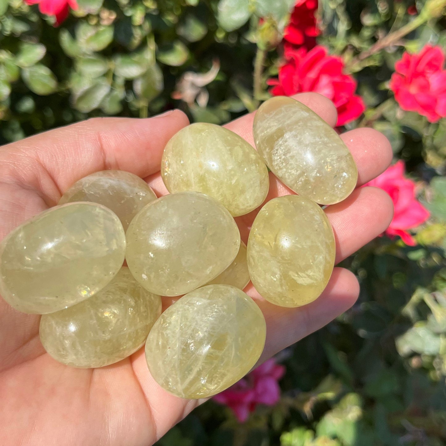 Lemon Yellow Quartz Tumbles Palm Stones ~ Natural Genuine Crystals