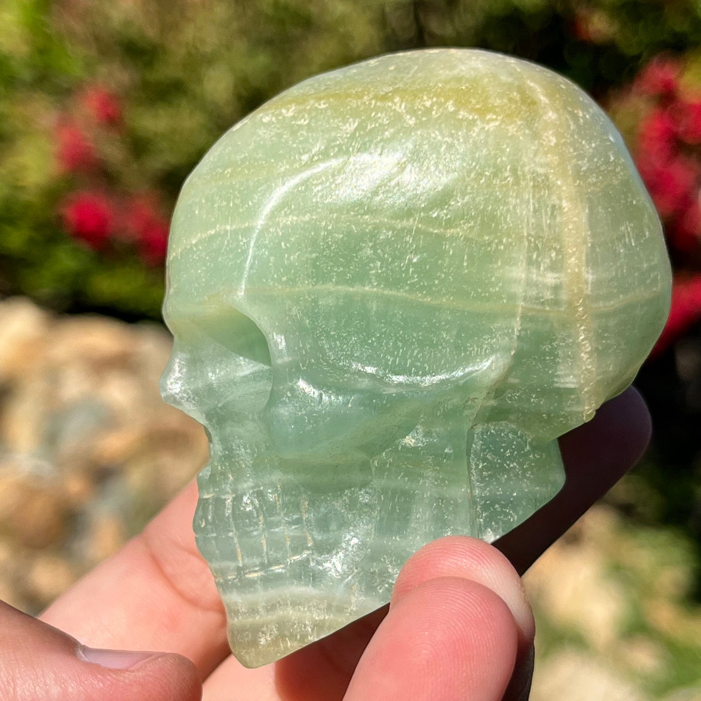 Pistachio Caribbean Calcite Skull Polished Natural Carved Stone Crystal ~ Human Skull Art Carving