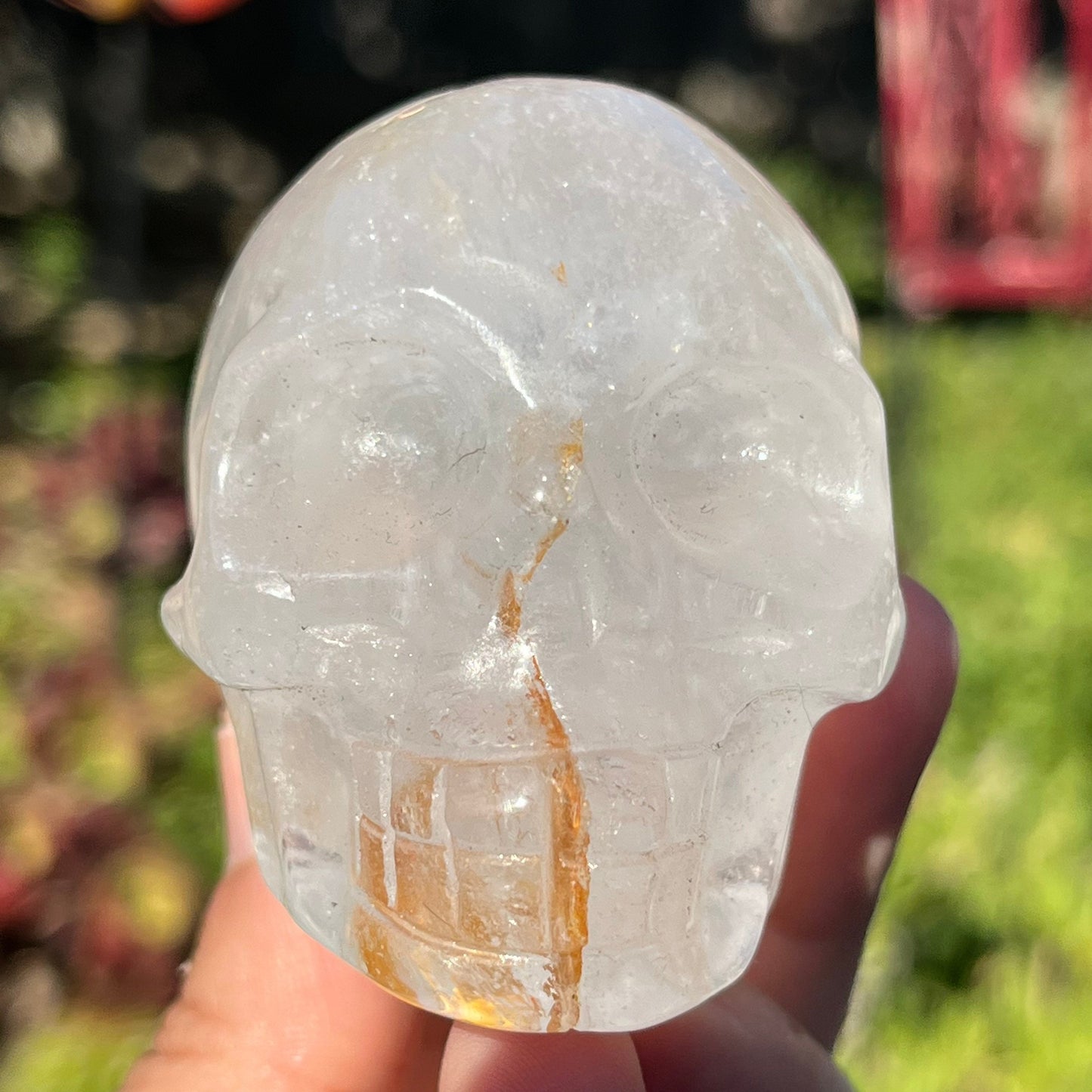 Golden Healer with Clear Quartz Skull Crystal Skull with Hematite Polished Natural Carved Stone Carved Minerals ~ Human Skull Art Carving