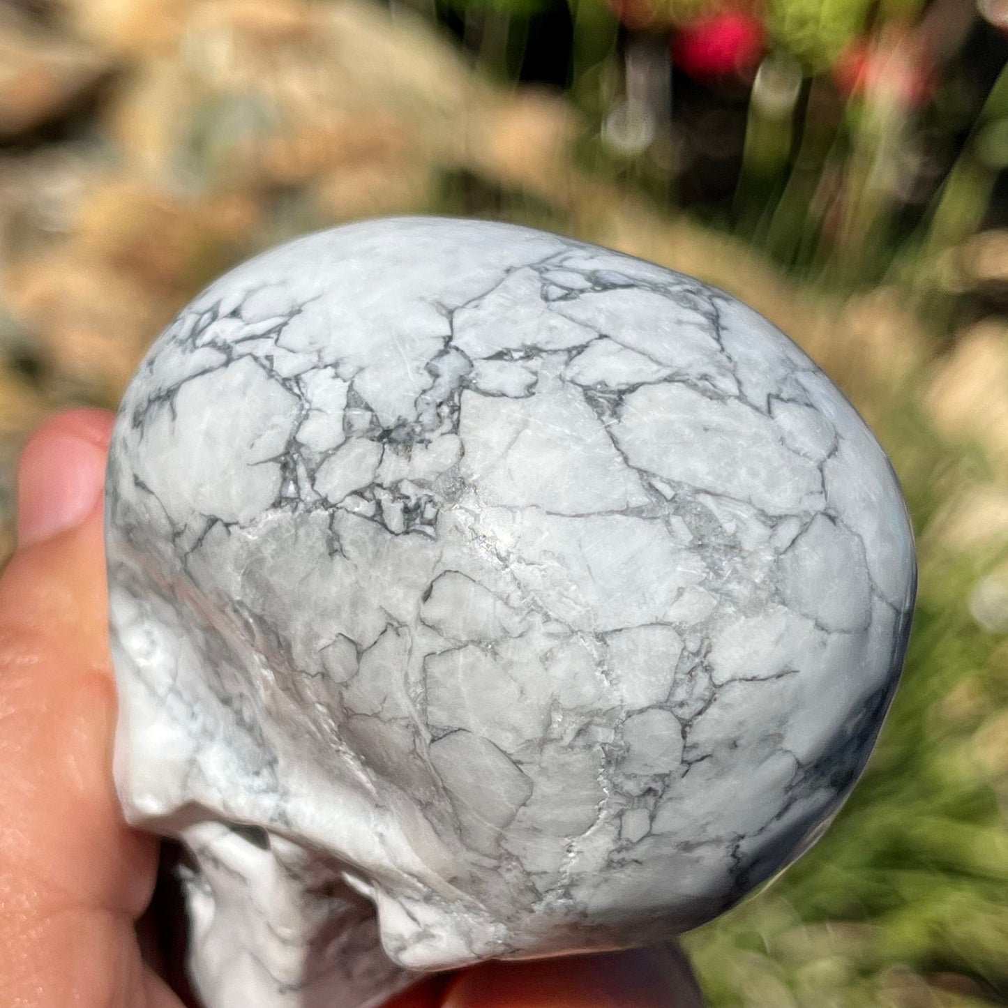 Howlite Skull Genuine White Crystal Skull ~ Crystals Natural Stone Human Skull Art Carving ~