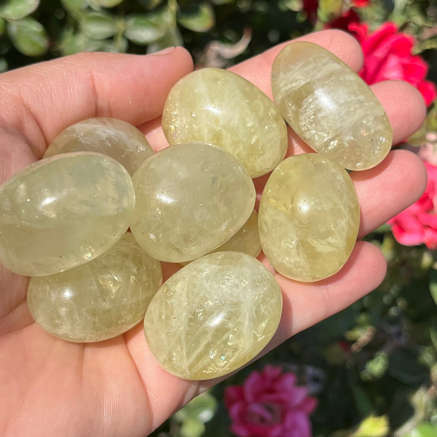 Lemon Yellow Quartz Tumbles Palm Stones ~ Natural Genuine Crystals