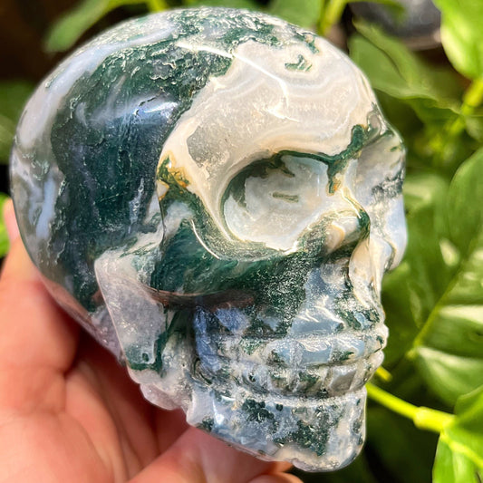 4" Druzy Geode Cave Moss Agate Skull ~ Natural Stone Crystal Skull ~ Human Skull Art Carving MS1
