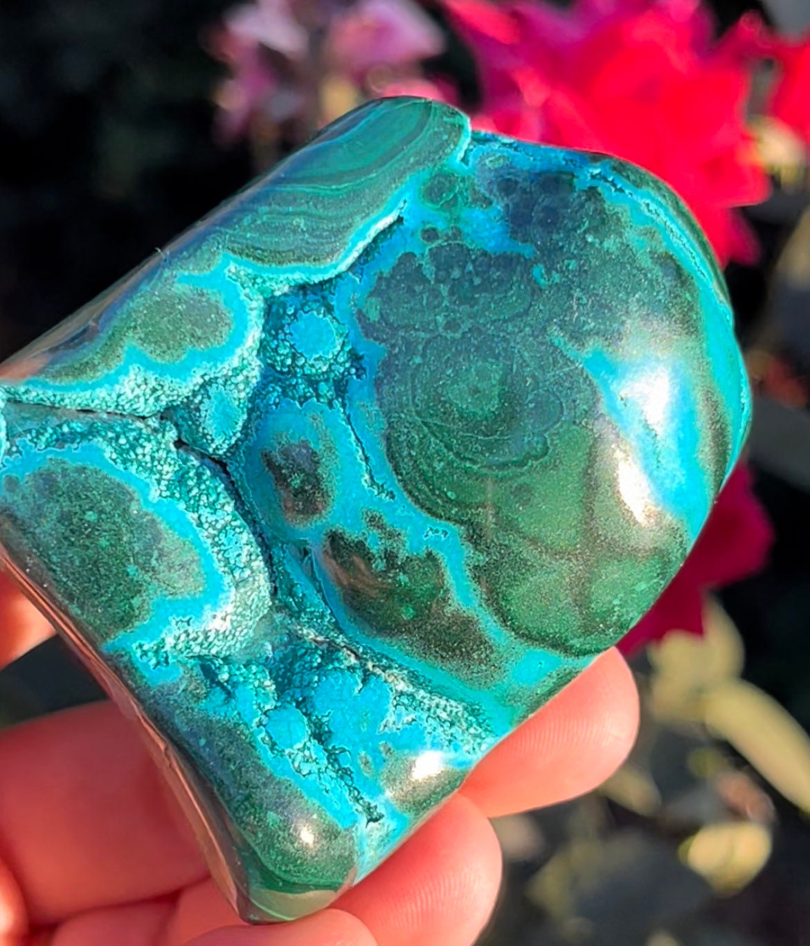 Stunning Druzy Malacolla Chrysocolla Malachite Freeform Stone Tumbles Natural Polished Crystals ~ MC6