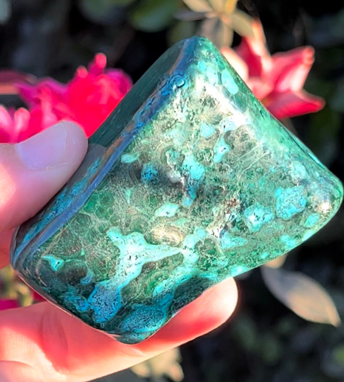 Stunning Druzy Malacolla Chrysocolla Malachite Freeform Stone Tumbles Natural Polished Crystals ~ MC5