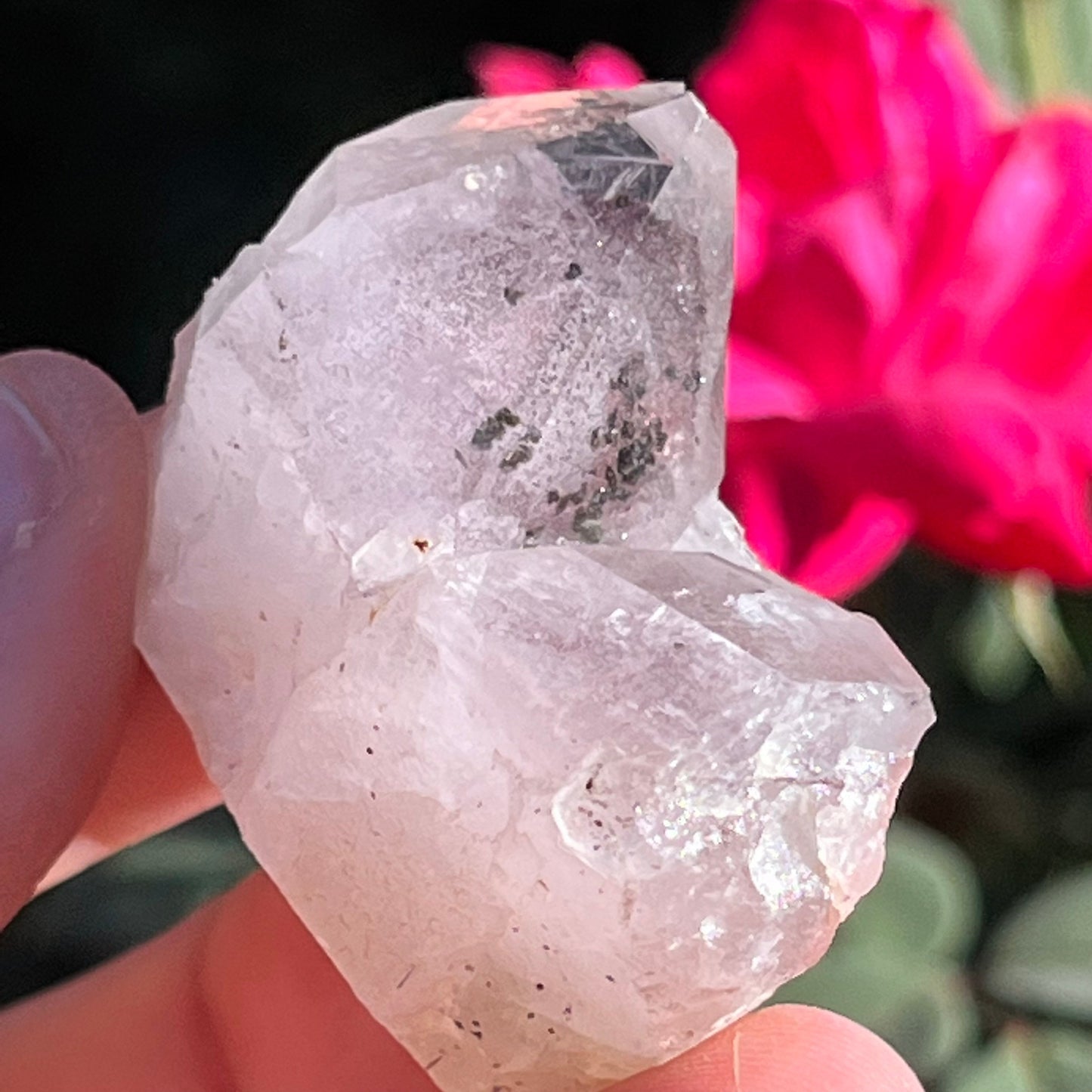 Rare Crystals ~ Purple Garden Amethyst with Pyramid Phantom Inclusion Hematite Inclusion Raw Mineral ~ Lodolite ~ Collectors Specimen GA23