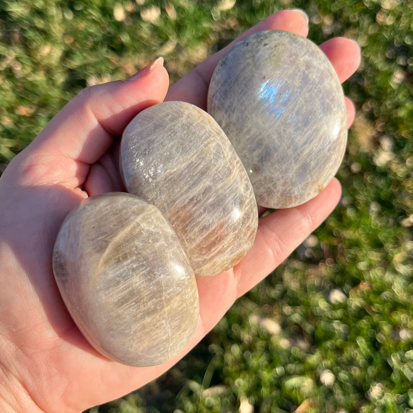 Flashy Blue Moonstone Palm Stones | Moonstone Palms | Crystal Palm Stones | Moonstone Crystal