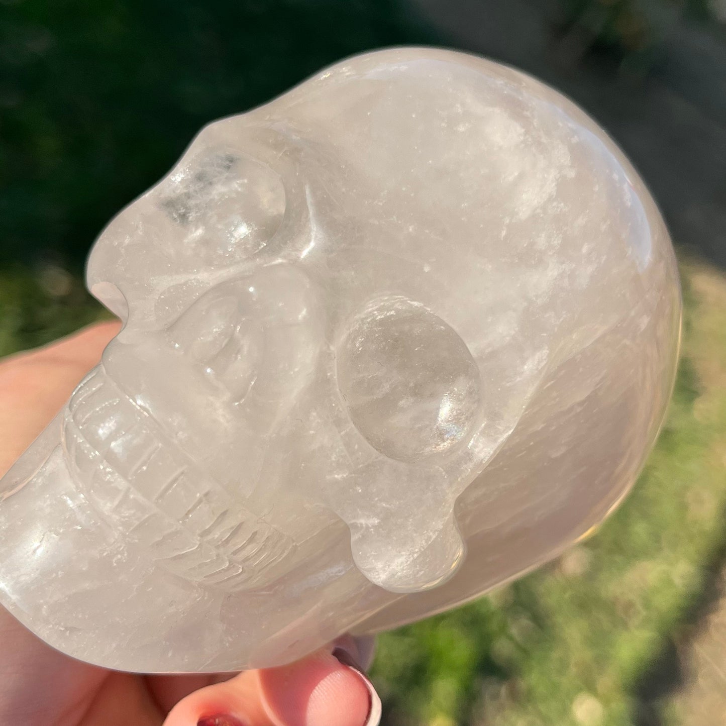 1lb Smoky Quartz Skull Crystal Skull | Quartz Skull | Skull Art | Human Skull Natural Carved Stone
