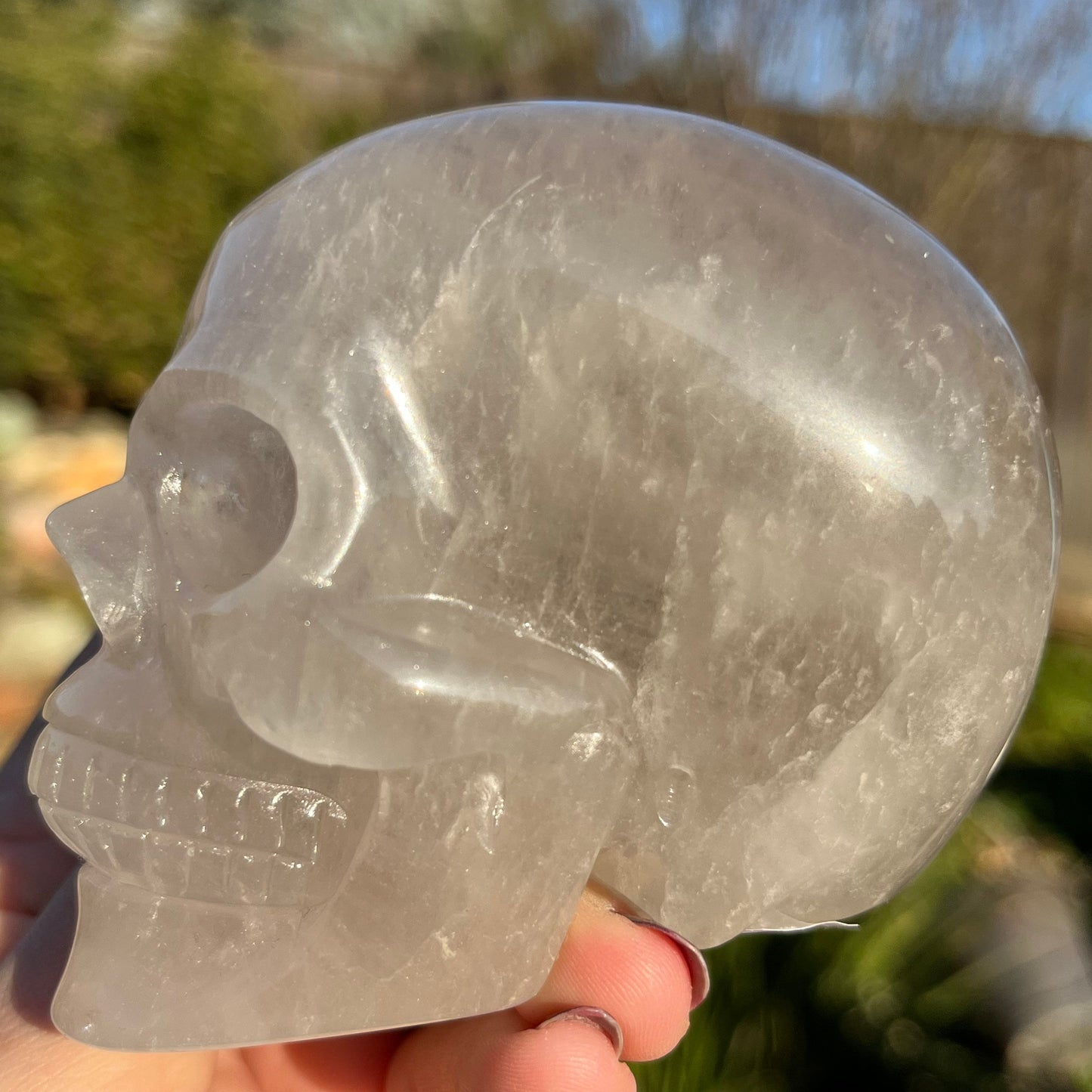 1lb Smoky Quartz Skull Crystal Skull | Quartz Skull | Skull Art | Human Skull Natural Carved Stone