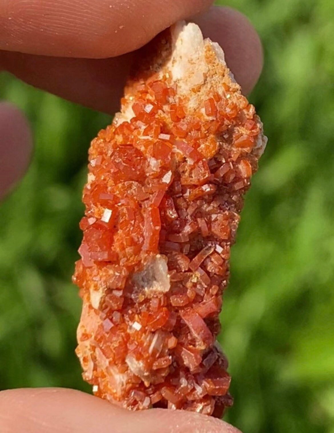 High Quality Sparkle Vanadinite Natural Stone Crystal  ~ Morocco ~ Stimulates Sexual Desires ~ VD7