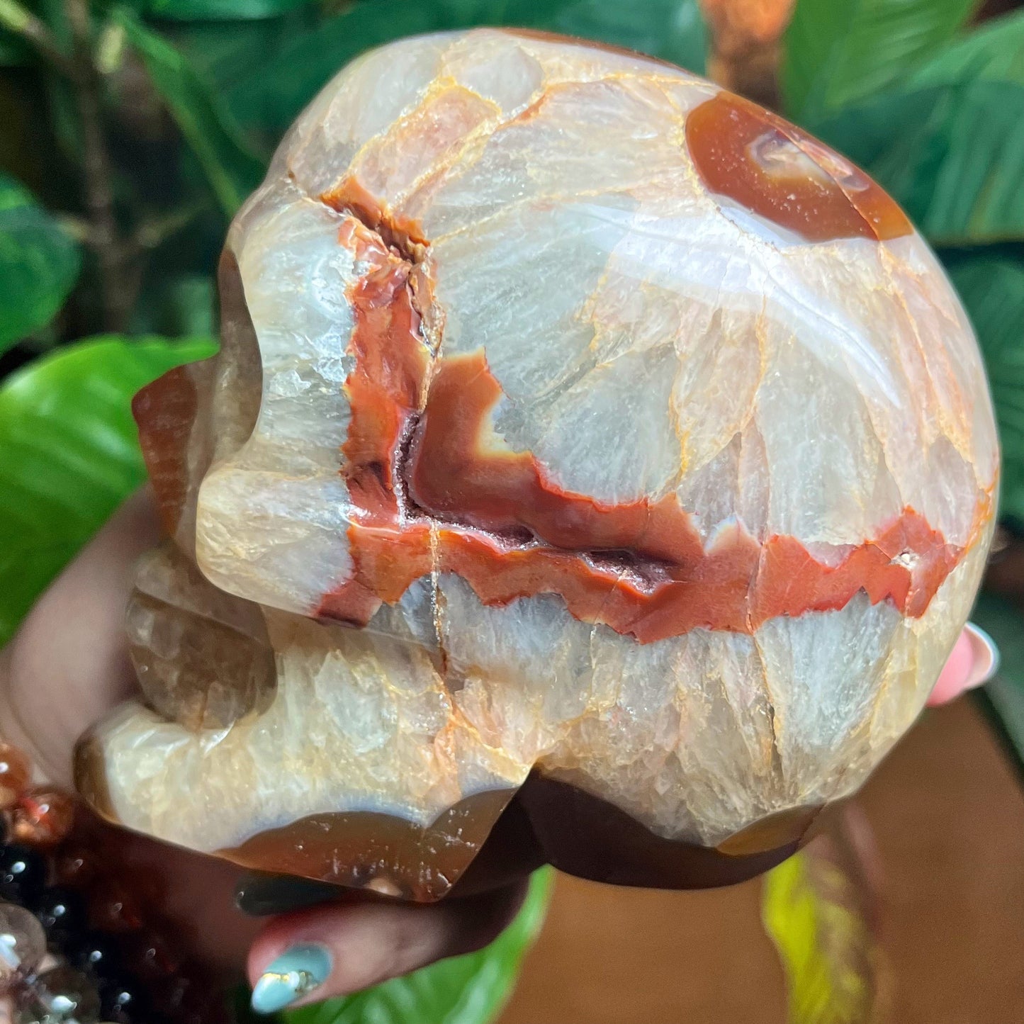 XL 5 Inch Crystal Carnelian Skull | Red Agate Skull | Carnelian Skull | Skull Art Carving | Human Skull Art | Yana Skull Art Sk23