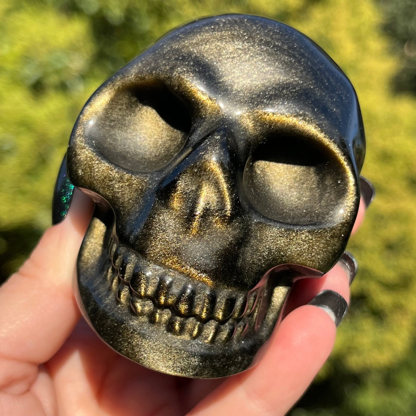 Gold Sheen Obsidian Skull | Obsidian Crystal Skull | Crystal Human Skull | Art Skull Carving